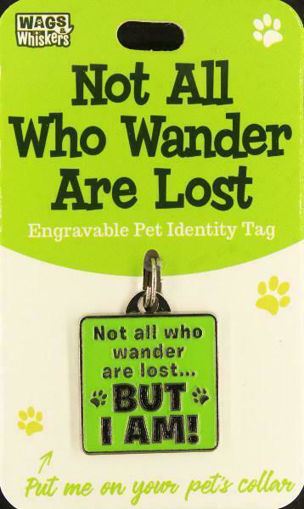 Picture of I AM LOST ID TAG